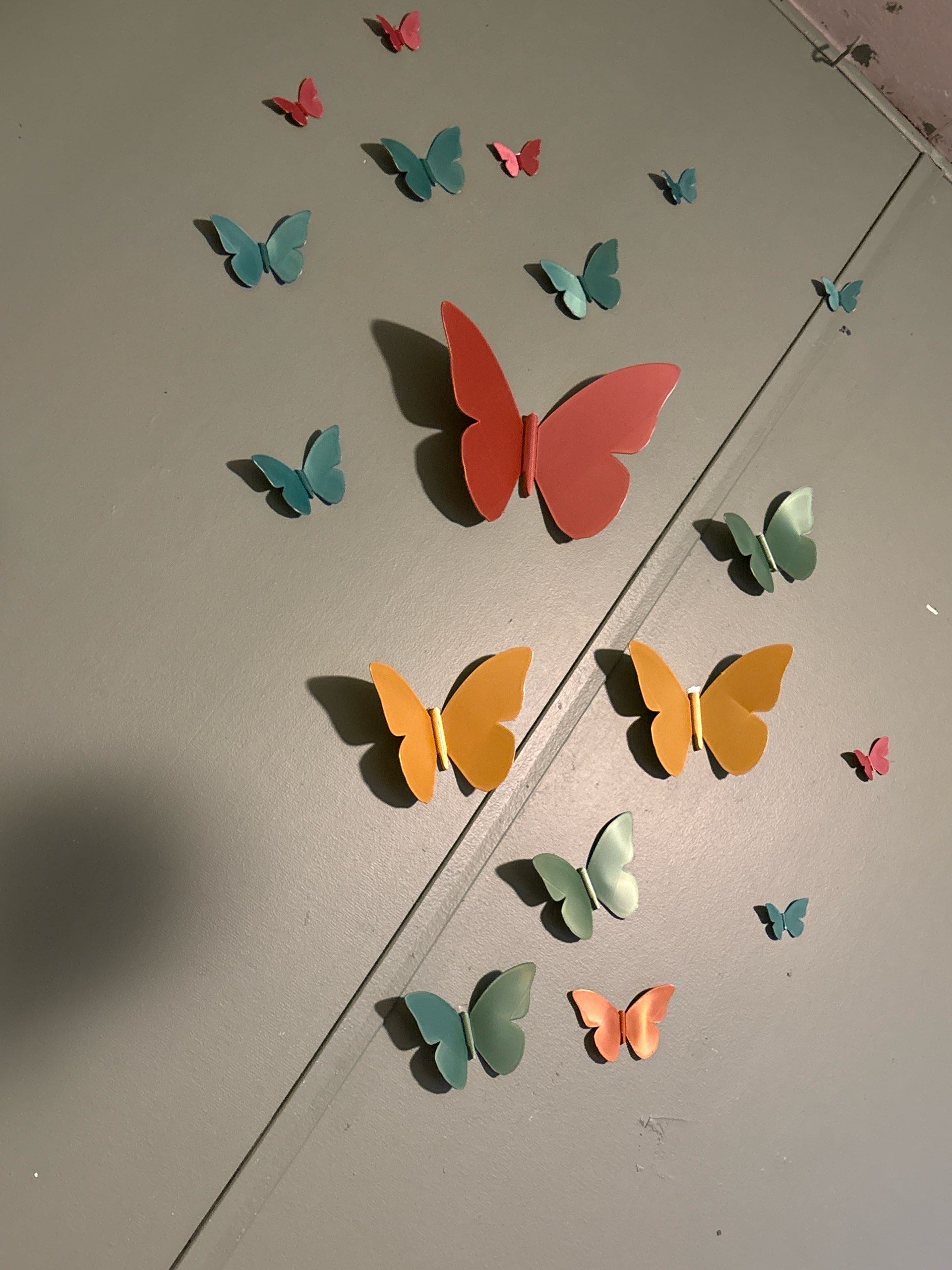 Papillons muraux 3D multicolores en situation